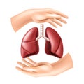 Hands protect the human lungs. Concept of Health care.