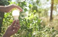 Hands protect light bulb in nature. Green energy Royalty Free Stock Photo