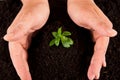 Hands protect plant Royalty Free Stock Photo