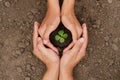 Hands are protect a small tree or plant grow on soil Royalty Free Stock Photo