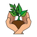 Hands protected ecology leafs plant