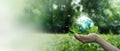 Hands protecting globe of green leafs and tree on tropical nature summer background, Ecology and Environment concept Royalty Free Stock Photo