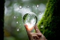 Hands protecting globe of green tree on nature background, ecology and environment. Hand holding green earth ESG icon for Royalty Free Stock Photo