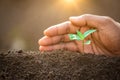 A hands protecting plant growing on soil.protect nature and environment concept. Royalty Free Stock Photo