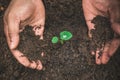 A hands protecting plant growing on soil.protect nature and environment concept.