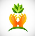Hands protecting plants icon vector design Royalty Free Stock Photo