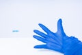 Hands putting on blue nitril gloves Royalty Free Stock Photo