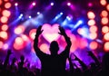 Illustration of people cheering and gesturing at a rock concert. Royalty Free Stock Photo