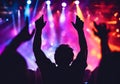 Illustration of people cheering and gesturing at a rock concert. Royalty Free Stock Photo