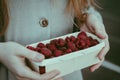 Hands with raspberries basket Royalty Free Stock Photo