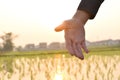 Hands reaching out to help in blurred sunlight background.