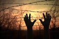 Hands reaching up to the barbed wire World Refugee Day AI generation