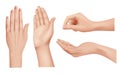 Hands realistic. Gestures human palms and fingers pointing hand people communication language vector closeup template