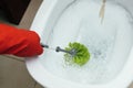 Hands in red gloves cleaning WC, toilet, using brush. Limescale. Hard water. Cleaning toilet bowl with limescale using detergent. Royalty Free Stock Photo