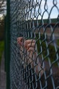 Hands of a refugee woman on a wire fence