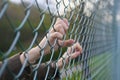 Hands of a refugee woman on a wire fence