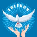 Human hands let go dove in the air freedom concept emblem Royalty Free Stock Photo