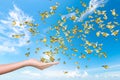 Hands releasing butterflies on blue sky Royalty Free Stock Photo