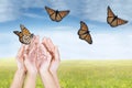 Hands releasing butterflies on meadow Royalty Free Stock Photo