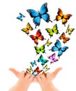 Hands releasing butterflies. Royalty Free Stock Photo