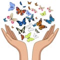 Hands releasing colorful butterflies. Isolate on white background. Vector graphics Royalty Free Stock Photo