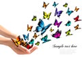 Hands releasing colorful butterflies. Royalty Free Stock Photo