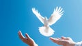 Hands releasing a white dove in a blue sky. Concept of peace, hope. Generative AI Royalty Free Stock Photo