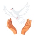 Hands releasing white dove flat vector illustration Royalty Free Stock Photo