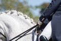 Hands of a rider holding two reins next to a horse`s mane neck Royalty Free Stock Photo