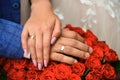 Hands and rings on wedding bouquet of red roses close up. Royalty Free Stock Photo
