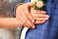 Hands and rings on wedding pale pink rose boutonniere Royalty Free Stock Photo