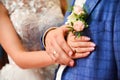 Hands and rings on wedding pale pink rose boutonniere, close up Royalty Free Stock Photo