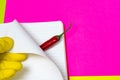 Hands in rubber gloves carefully turn over the page of an empty magazine and open burning red pepper. Bright pink and yellow Royalty Free Stock Photo