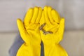 Hands in rubber gloves holding dust balls after cleaning
