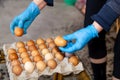 Hands in rubber gloves lay fresh chicken eggs Royalty Free Stock Photo