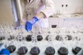 Hands of the scientist in laboratory shake a glass flasks with dissolved samples of the soil. Agrochemical examination of soil to Royalty Free Stock Photo