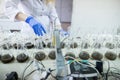 Hands of the scientist in laboratory shake a glass flasks with dissolved samples of the soil. Agrochemical examination of soil to Royalty Free Stock Photo