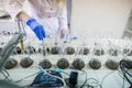 Hands of the scientist in laboratory shake a glass flasks with dissolved samples of the soil. Agrochemical examination of soil to Royalty Free Stock Photo