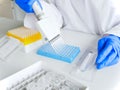 hands of scientist working with multichannel pipette and multi well plates. research technician with multipipette in Royalty Free Stock Photo