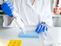 hands of scientist working with multichannel pipette and multi well plates. research technician with multipipette in Royalty Free Stock Photo