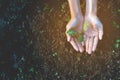 Hands and seedlings Small growing Perfect in a natural way. And Royalty Free Stock Photo