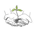 Hands with seeds and sprout. Agriculture sprout in hand. Growth of plants. Sketch hand drawn. On white background