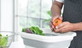 Hands of senior man washing and rubbing tomato at home. Vegetables soak with water in basin or sink. Healthy food and cleaning