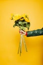 senior woman holding a sunflower bouquet over a yellow background Royalty Free Stock Photo