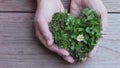 Hands served heart covered with grass