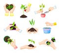 Hands Setting Plants and Green Seedling in Flower Pot Vector Set Royalty Free Stock Photo