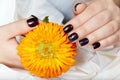 Hands with short manicured nails colored with dark purple nail polish holding a flower Royalty Free Stock Photo