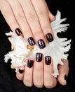 Hands with short manicured nails colored with dark purple nail polish holding a sea shell Royalty Free Stock Photo