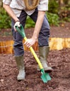 Hands, shovel and man digging the soil, dirt or ground in garden and backyard. Gardening, agriculture or person with Royalty Free Stock Photo