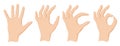 Hands show the sign everything is fine. European hands. Vector illustration